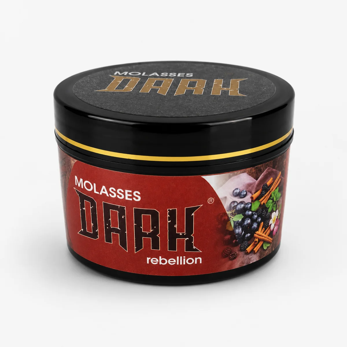 Rebellion · Görsel 4